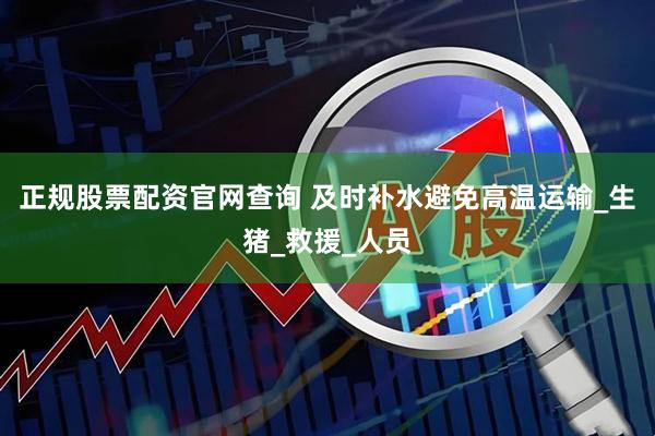 正规股票配资官网查询 及时补水避免高温运输_生猪_救援_人员