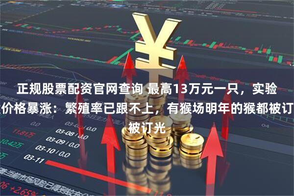 正规股票配资官网查询 最高13万元一只，实验猴价格暴涨：繁殖率已跟不上，有猴场明年的猴都被订光